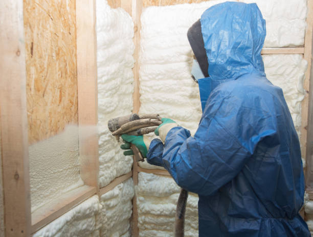 Best Wall Insulation Installation  in Newton, IA